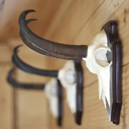 Walliserkanne Ξενοδοχείο 3*