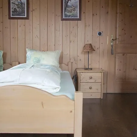 Hotel Walliserkanne Grachen