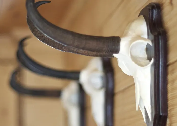 瓦利斯尔坎尼酒店 酒店 3*