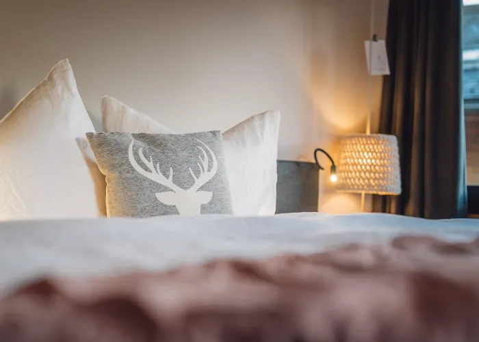 Walliserkanne Hotel Grachen